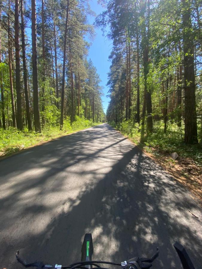 Forest And Lake Borovoe Buitenkant foto