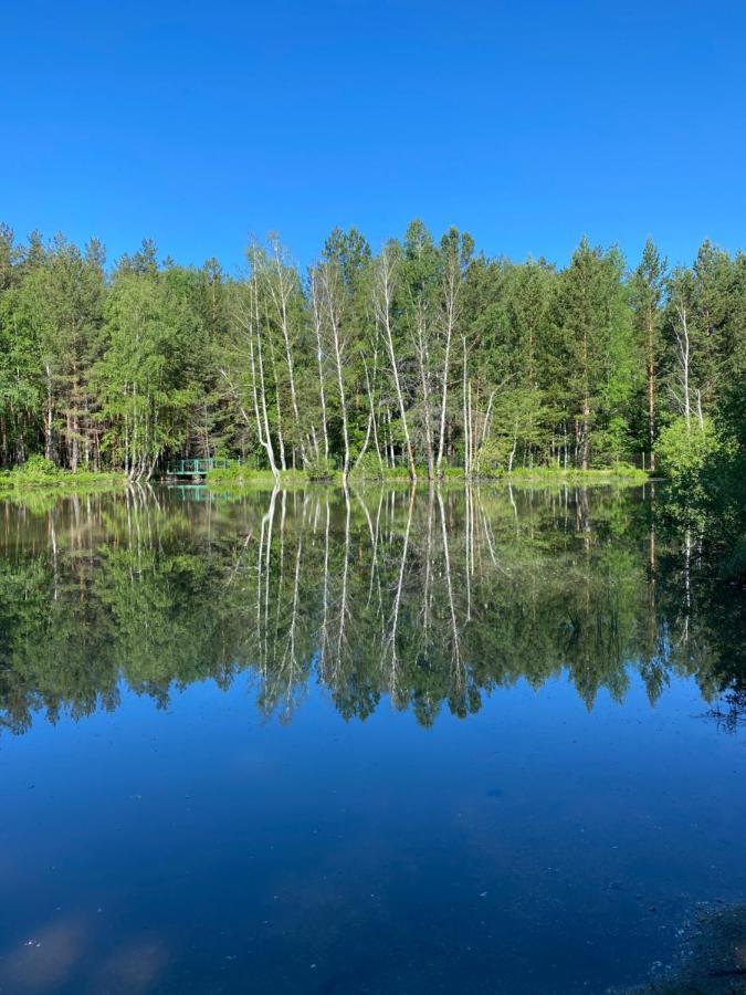 Forest And Lake Borovoe Buitenkant foto