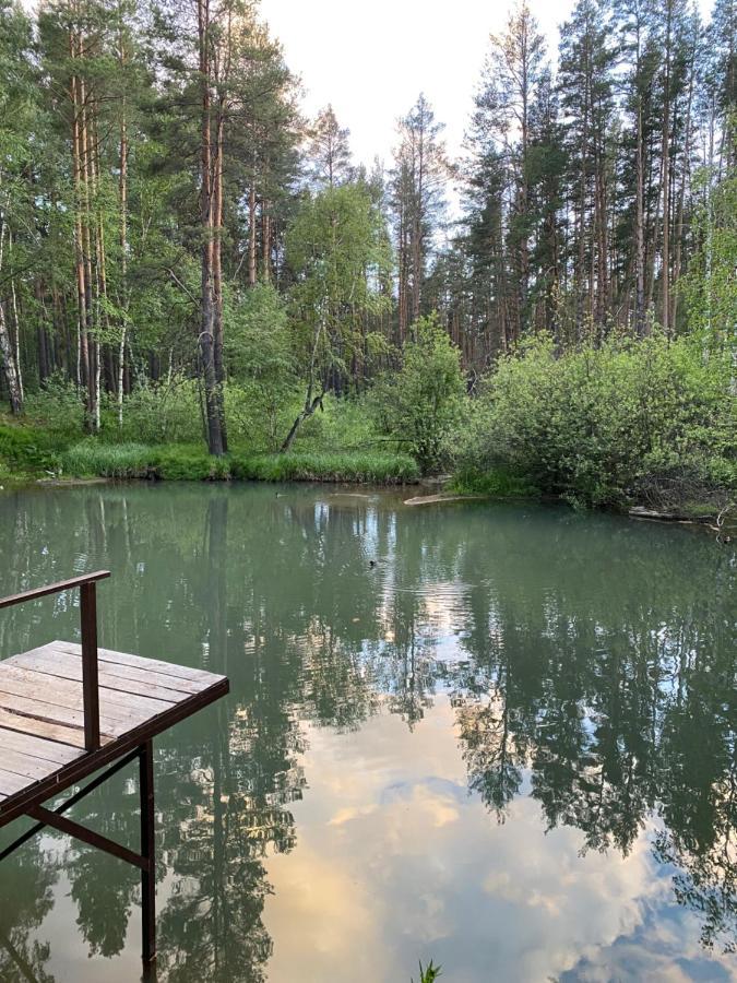 Forest And Lake Borovoe Buitenkant foto